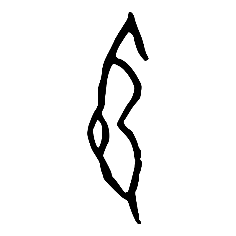 彈-oracle