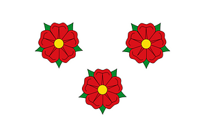 Roses Spain