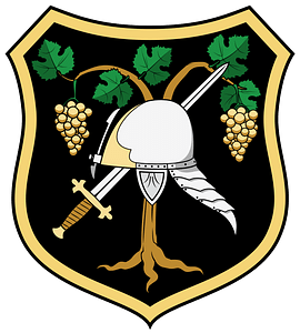 Coa Hungary Family Apafi