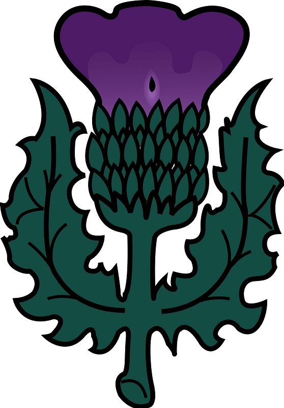 Thistle (Flag of Montreal)