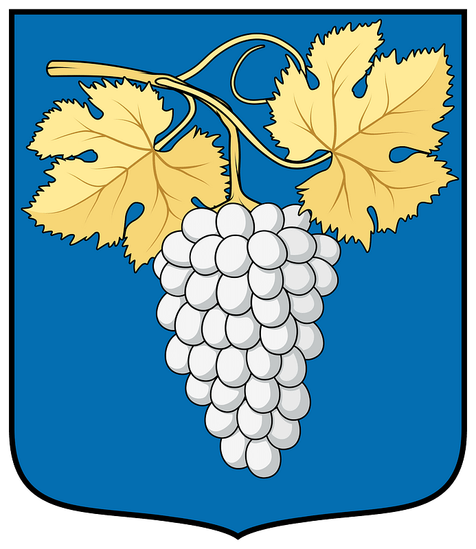 Coa Hungary Town Szin