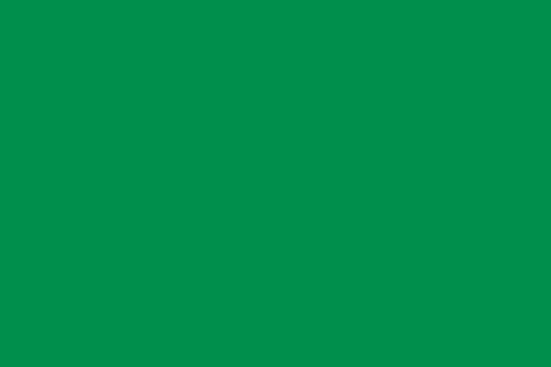 Bandera de Castrillón