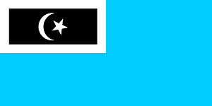 Flag of Dungun, Terengganu