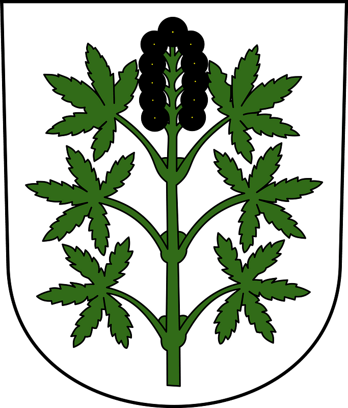 Wangen-Brüttisellen-blazon