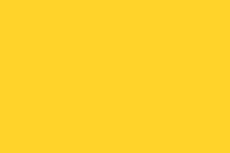 Flag of Riau-Lingga Sultanate - (Male Royal Standard)