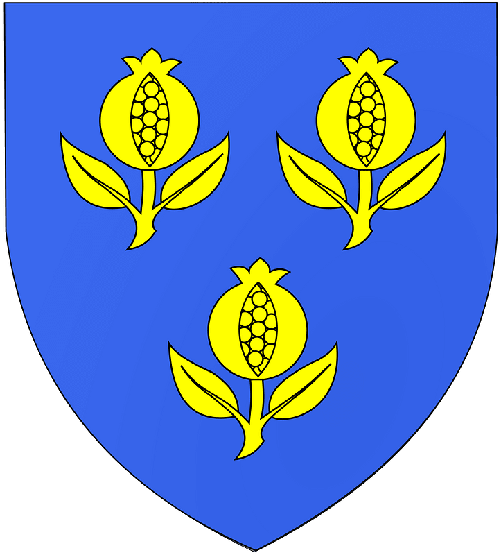 Blason famille fr Cremoux
