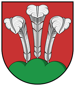 Coa Austria Town Sarleinsbach