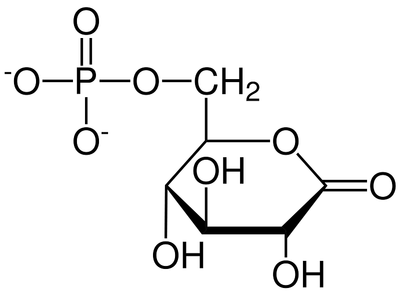 6-fosfoglukonolakton