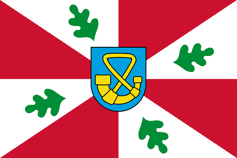 Tytsjerksteradiel flag