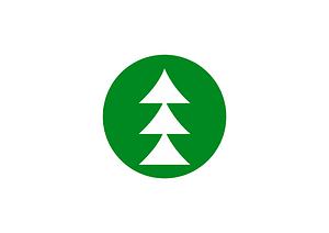 Flag of Kinasa, Nagano