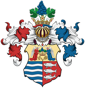 Coa Hungary County Zemplén History
