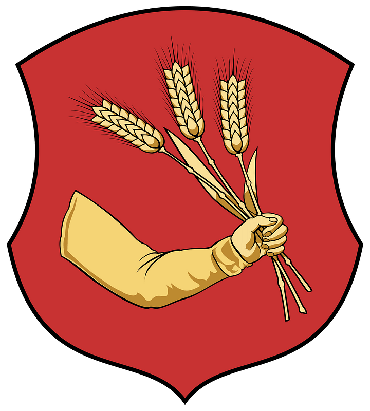 Coa Hungary Town Prügy
