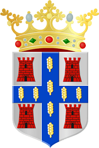 Dwingeloo wapen 1985