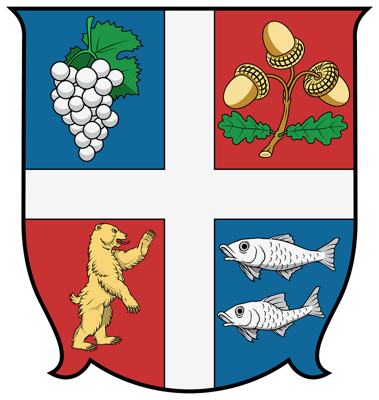 Coa Hungary County Bereg (history)