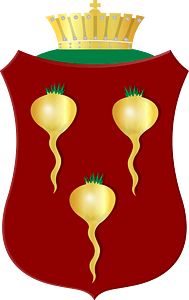Oostknollendam wapen