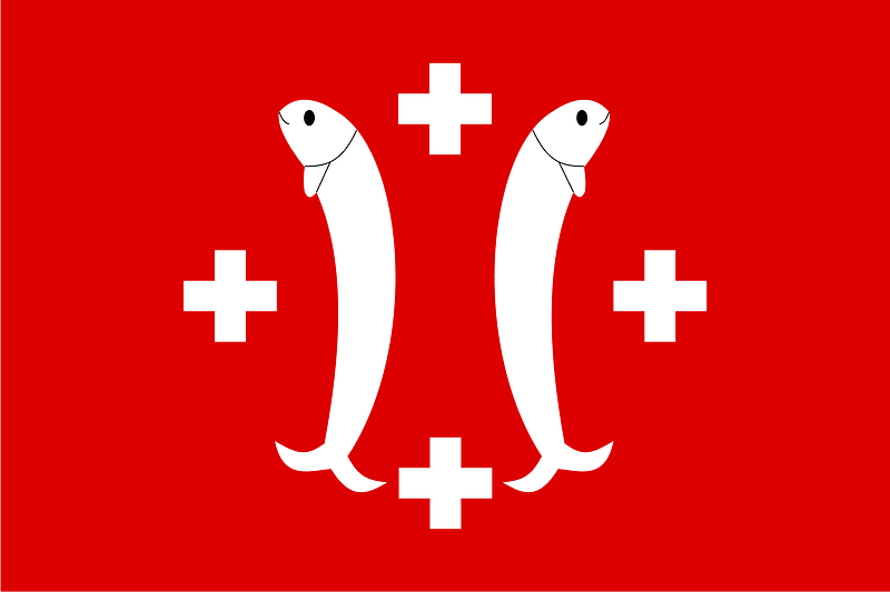 Flag of Salm-Salm