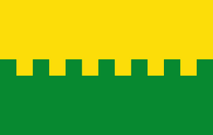 Flag of Saue