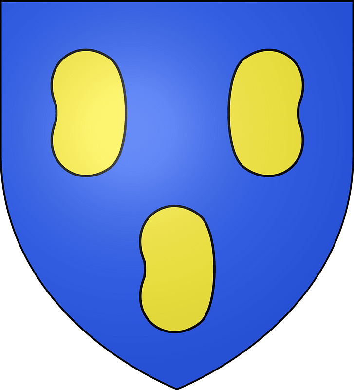 Blason de la ville de Rognonas (13)