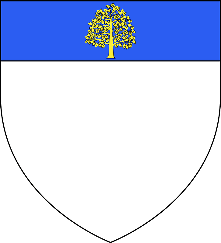 Blason de la ville de Sénas (13)