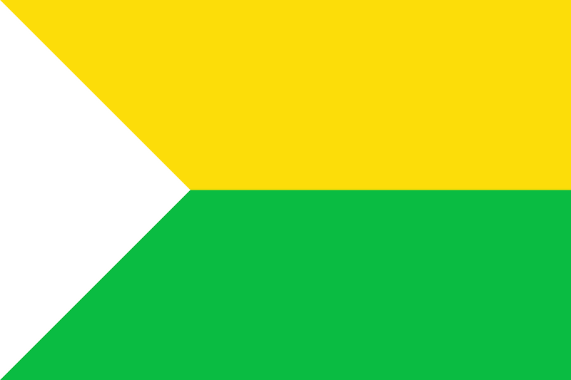 Flag of Puerto Carreño