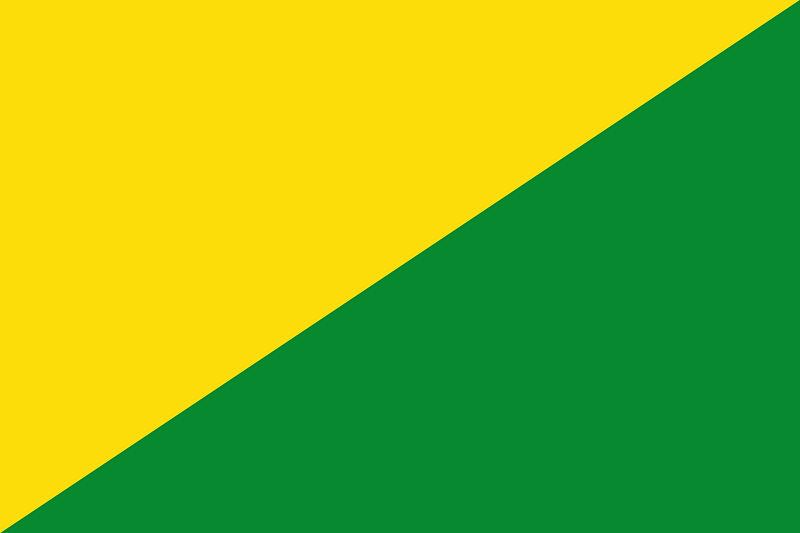 Flag of La Bruyère