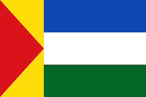 Flag of Rivas Davila