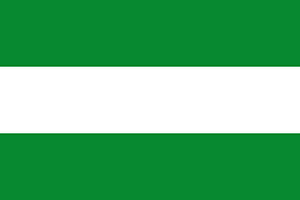 Flag of San Juanito (Meta)