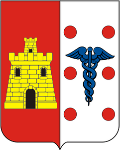 COA Baron of Nazaré