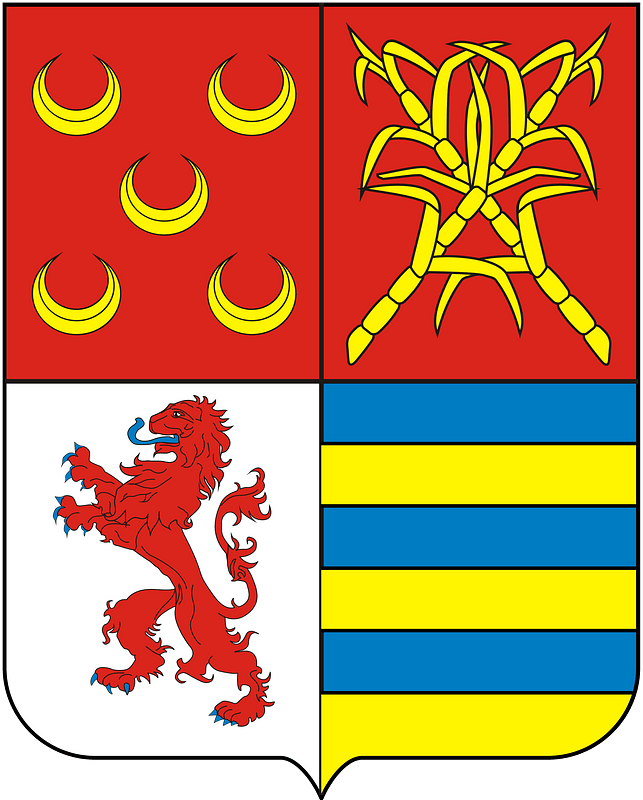 COA Baron of São Fidélis