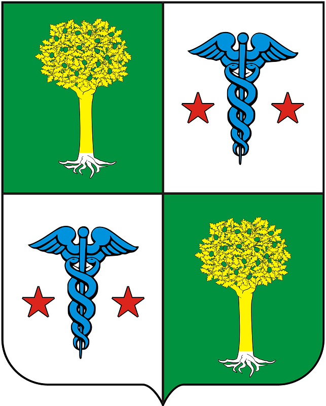 COA Baron of Campo Verde