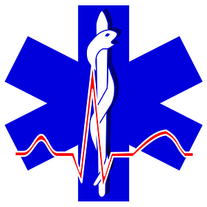 Paramedic cross 01