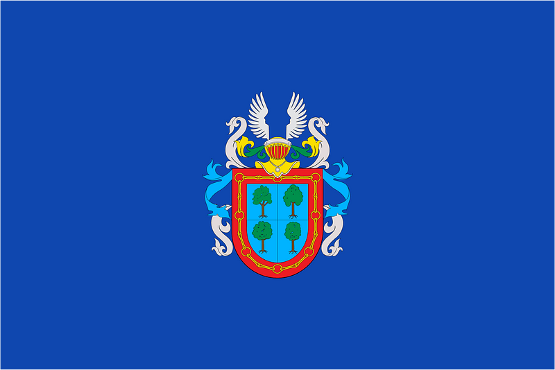 Bandera de Barañáin