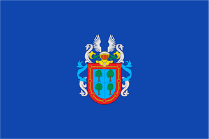 Bandera de Barañáin