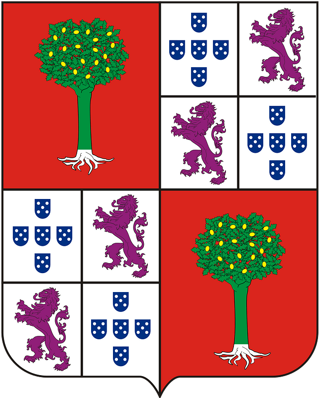 COA Baron of São João do Príncipe