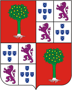 COA Baron of São João do Príncipe