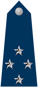 Brazilian Air Force Lieutenant-Brigadier rank insignia