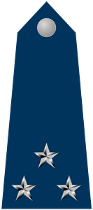 Brazilian Air Force Major-Brigadier rank insignia