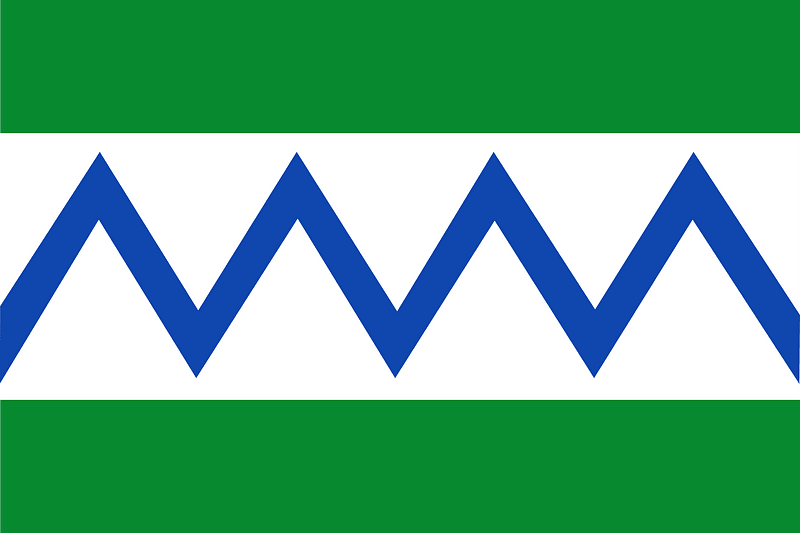 Flag of Barjas Spain