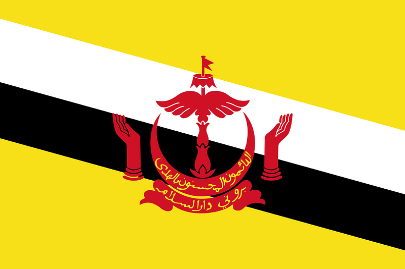 Flag of Brunei (3-2)