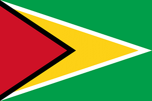Flag of Guyana (3-2)