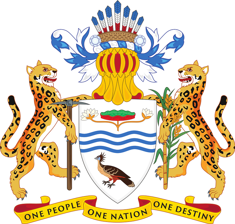 Coat of Arms of Guyana (relief)