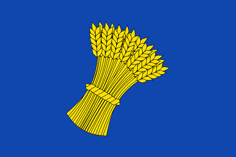 Flag of Canjáyar Spain