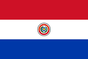 Flag of Paraguay (1990, 3-2)