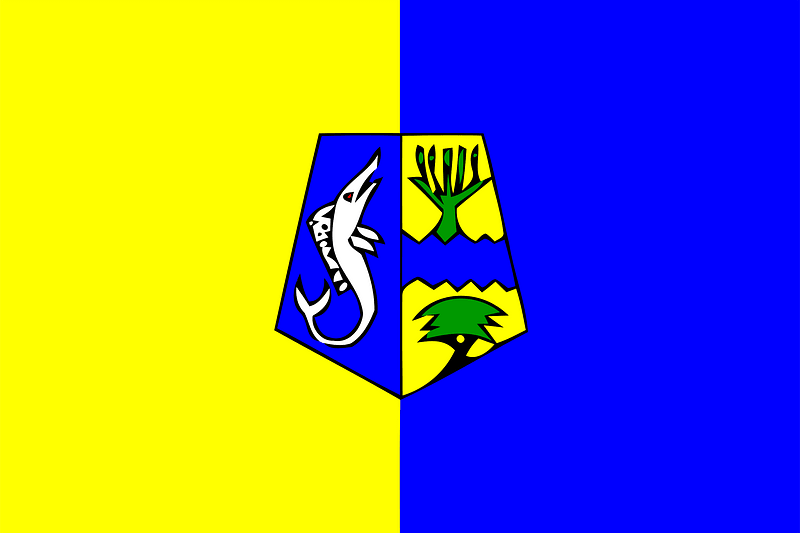 Flag of Agadir province (1976-1997)