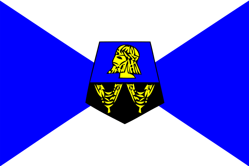 Flag of Tanger province (1976-1997)