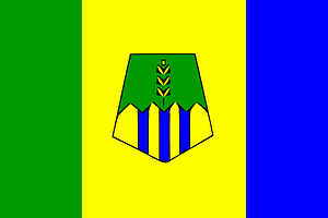 Flag of Taounate province
