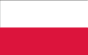 Flag of Poland 2