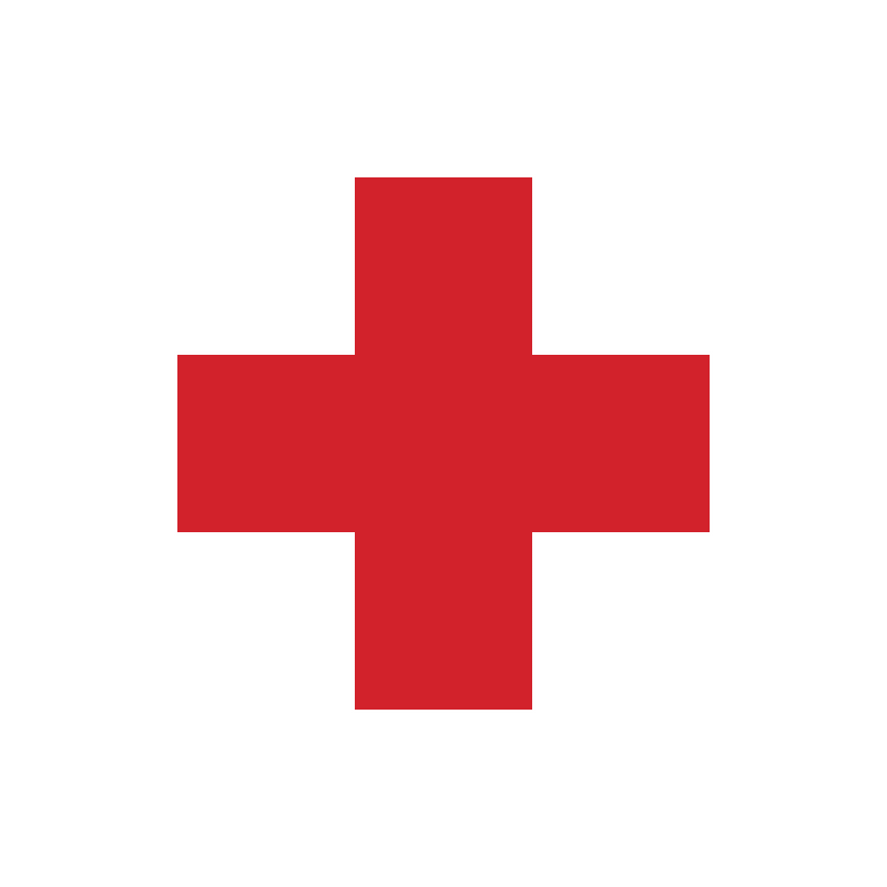 Flag for hospital ship of the Regia Marina
