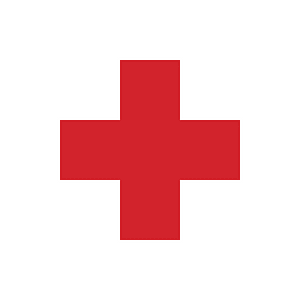 Flag for hospital ship of the Regia Marina
