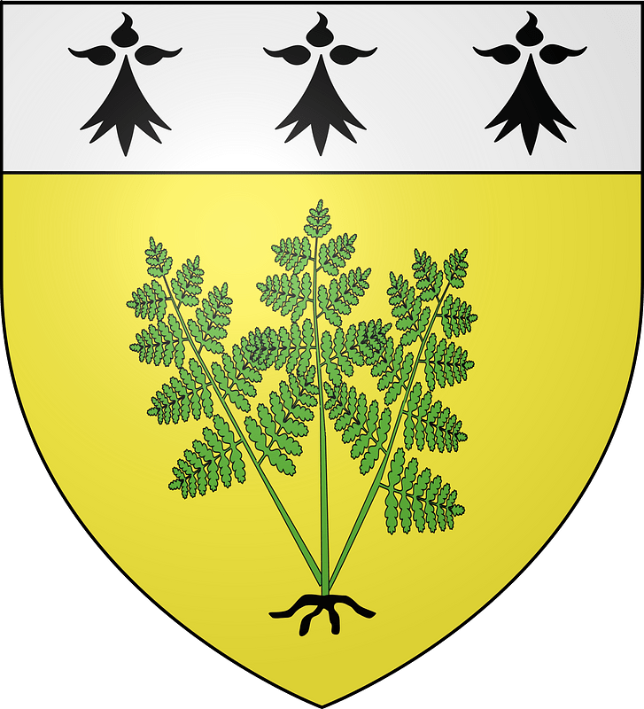 Blason fougères fr